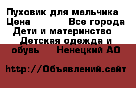 Пуховик для мальчика › Цена ­ 1 600 - Все города Дети и материнство » Детская одежда и обувь   . Ненецкий АО